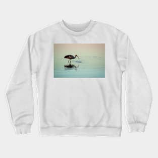 Limpkin with a Mollusk Crewneck Sweatshirt